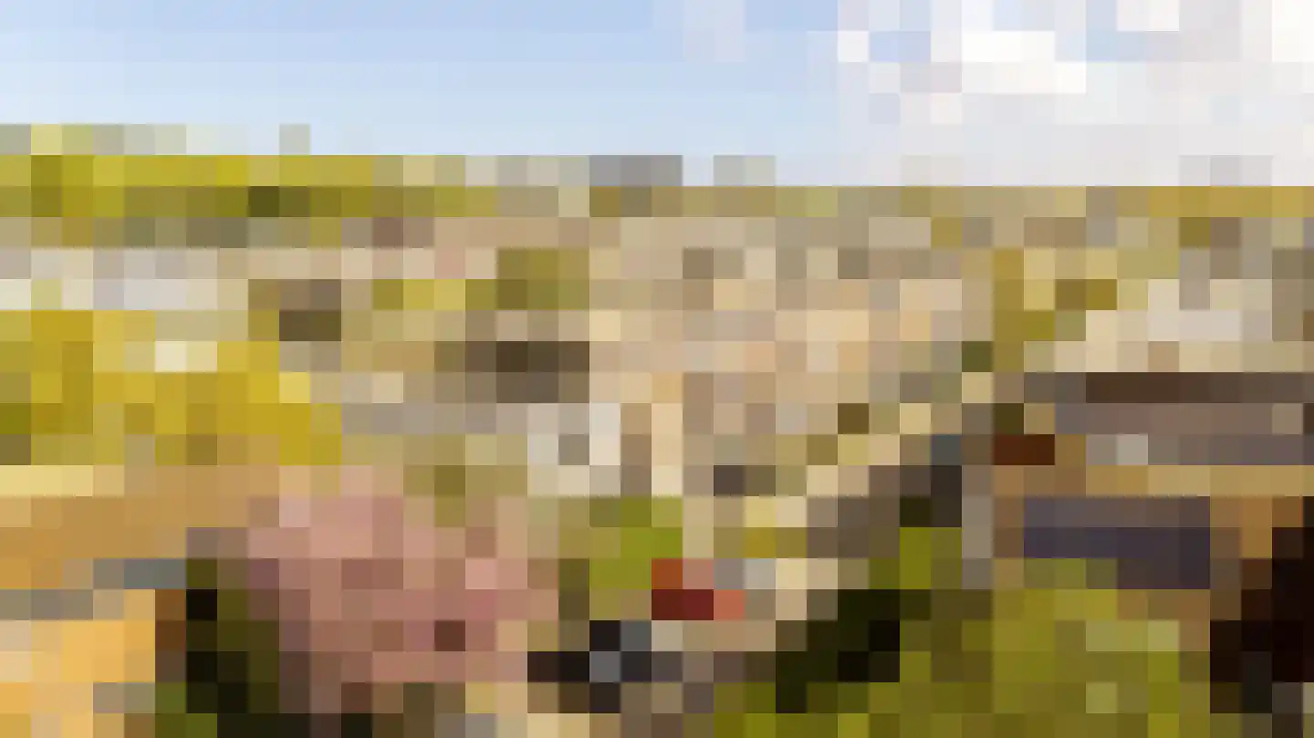 van Naeltwijckstraat 7 Voorburg thumbnail 25