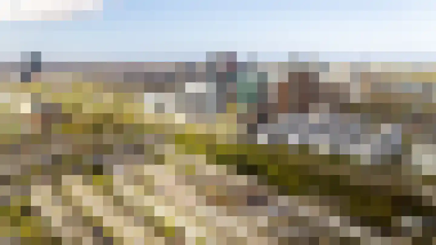 van Naeltwijckstraat 7 Voorburg thumbnail 26