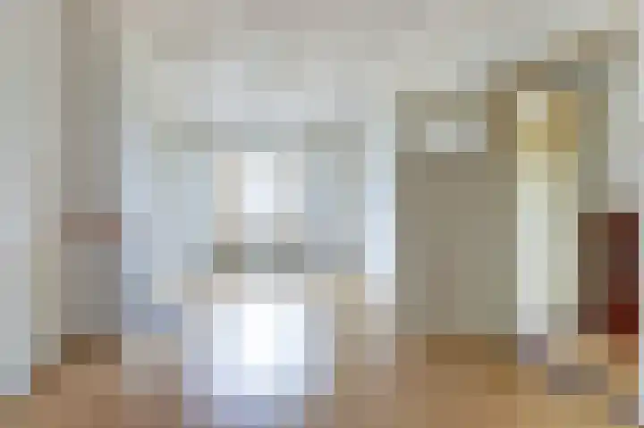 van Naeltwijckstraat 7 Voorburg thumbnail 4