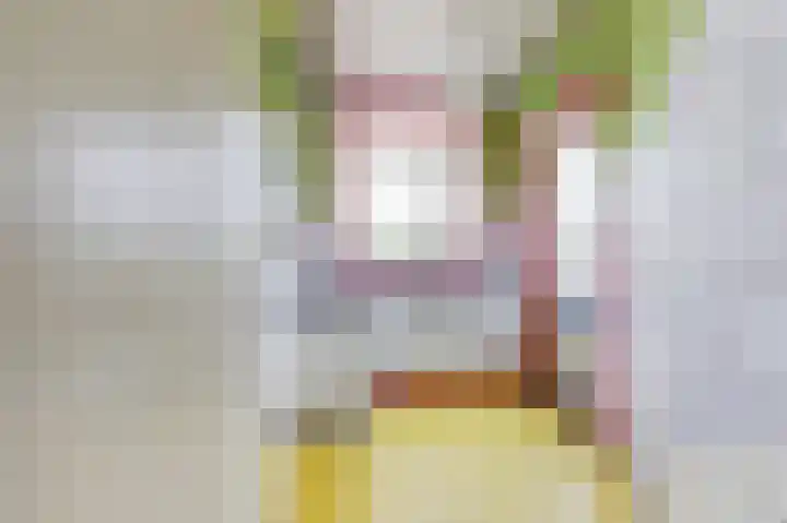 van Naeltwijckstraat 7 Voorburg thumbnail 8