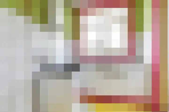 van Naeltwijckstraat 7 Voorburg thumbnail 9