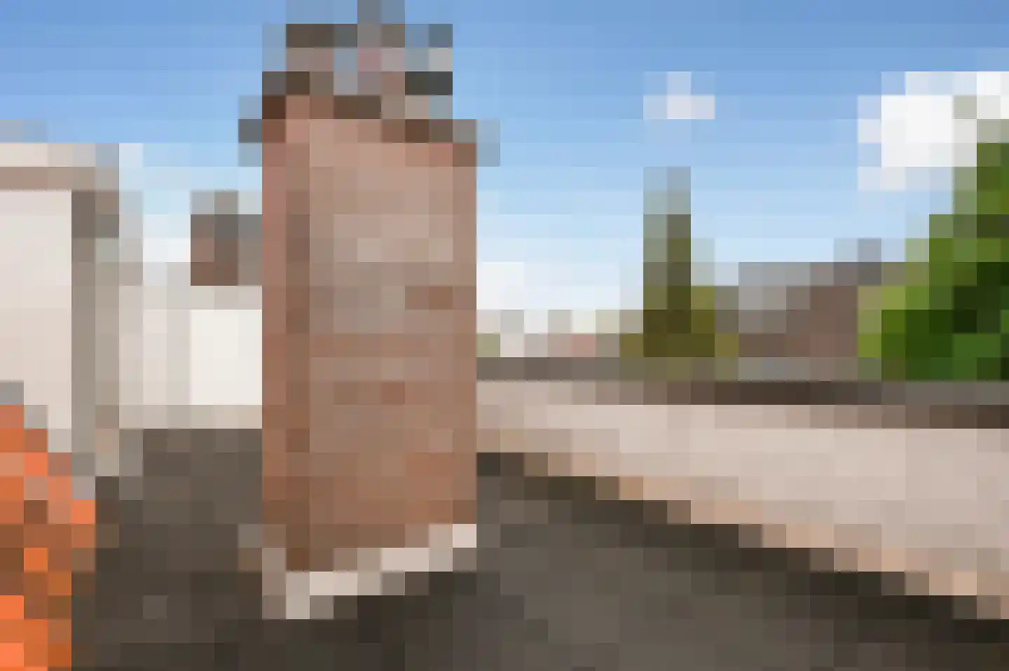 van Naeltwijckstraat 72 Voorburg thumbnail 20