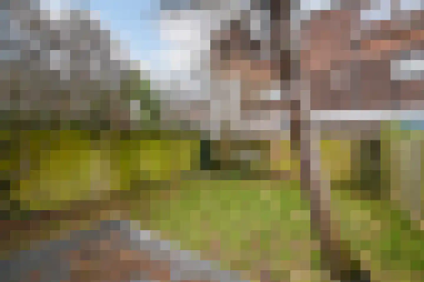 van Naeltwijckstraat 76 Voorburg thumbnail 13