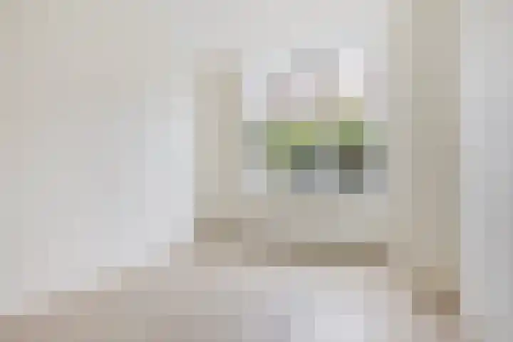 van Naeltwijckstraat 78 Voorburg thumbnail 18