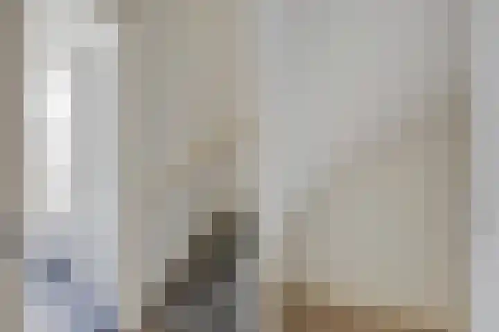 van Naeltwijckstraat 78 Voorburg thumbnail 19