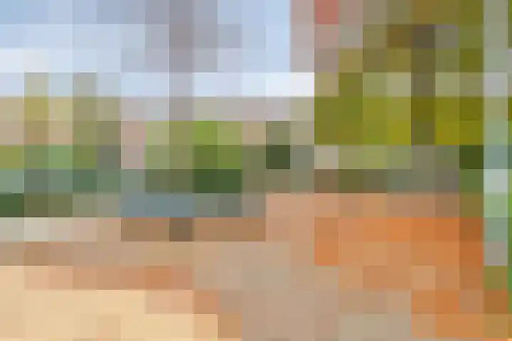 van Naeltwijckstraat 78 Voorburg thumbnail 25