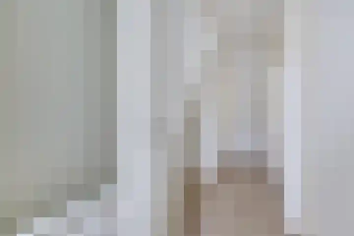 van Naeltwijckstraat 78 Voorburg thumbnail 4