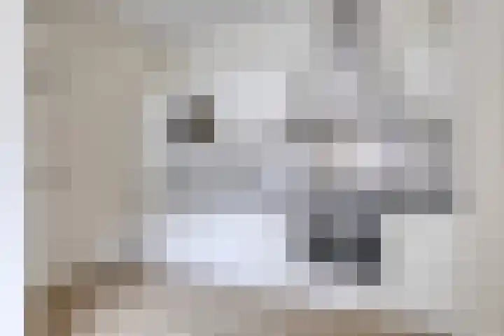 van Naeltwijckstraat 78 Voorburg thumbnail 8