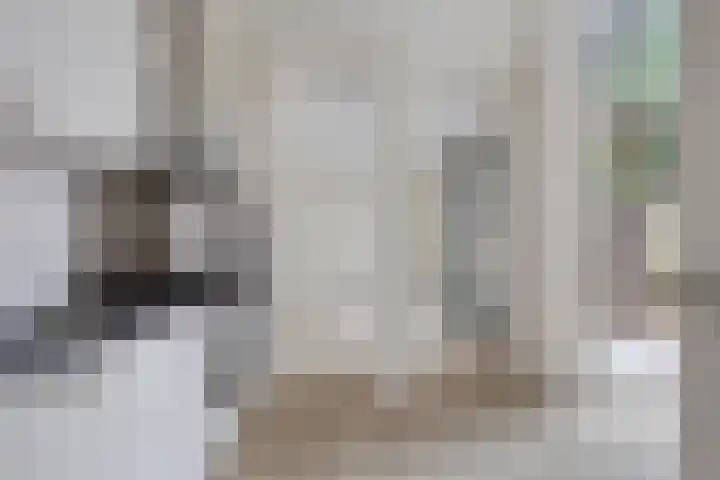van Naeltwijckstraat 78 Voorburg thumbnail 9