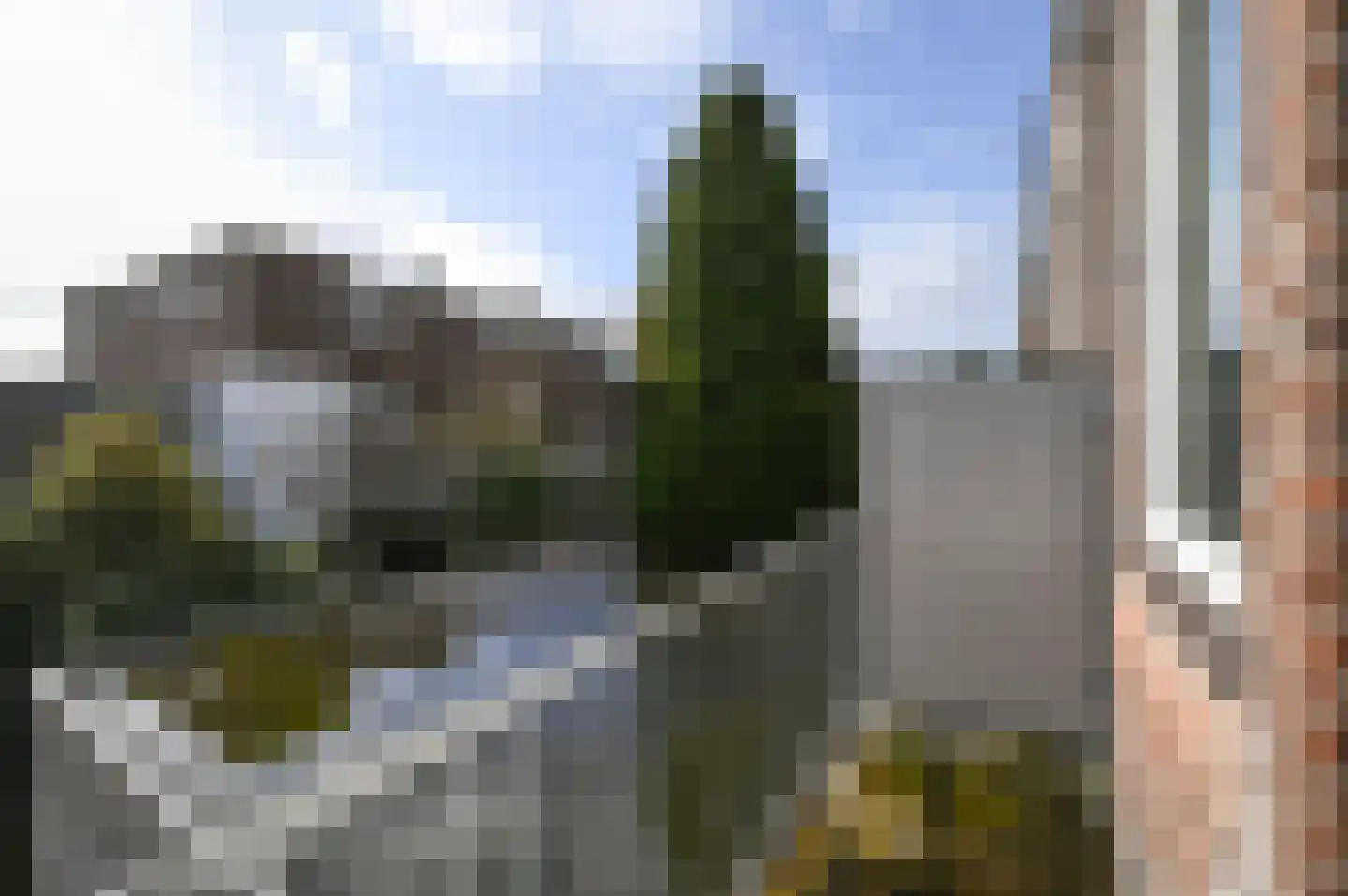 van Naeltwijckstraat 82 Voorburg thumbnail 12