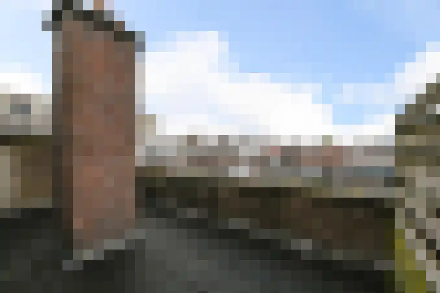 van Naeltwijckstraat 82 Voorburg thumbnail 20