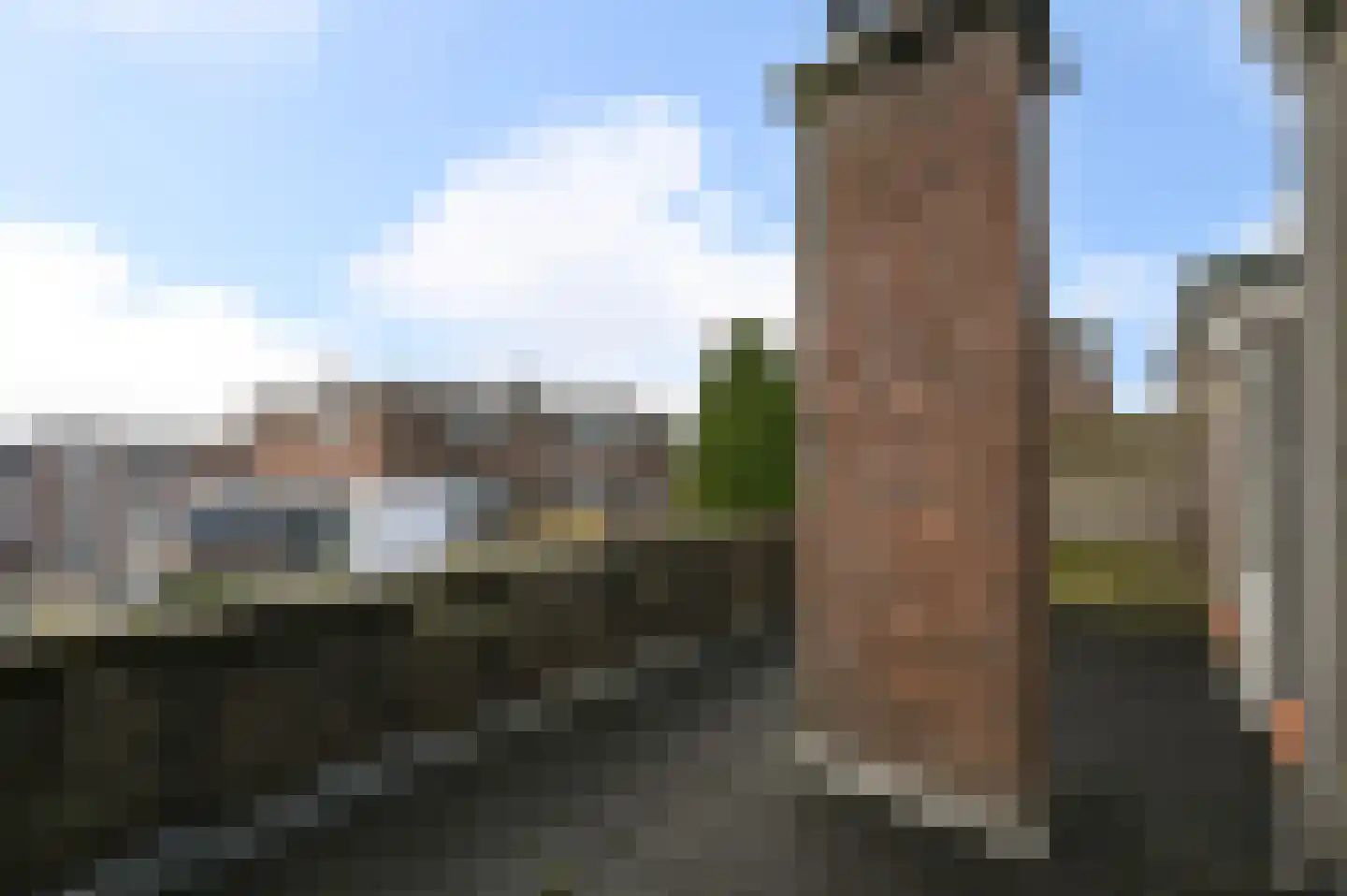 van Naeltwijckstraat 82 Voorburg thumbnail 21