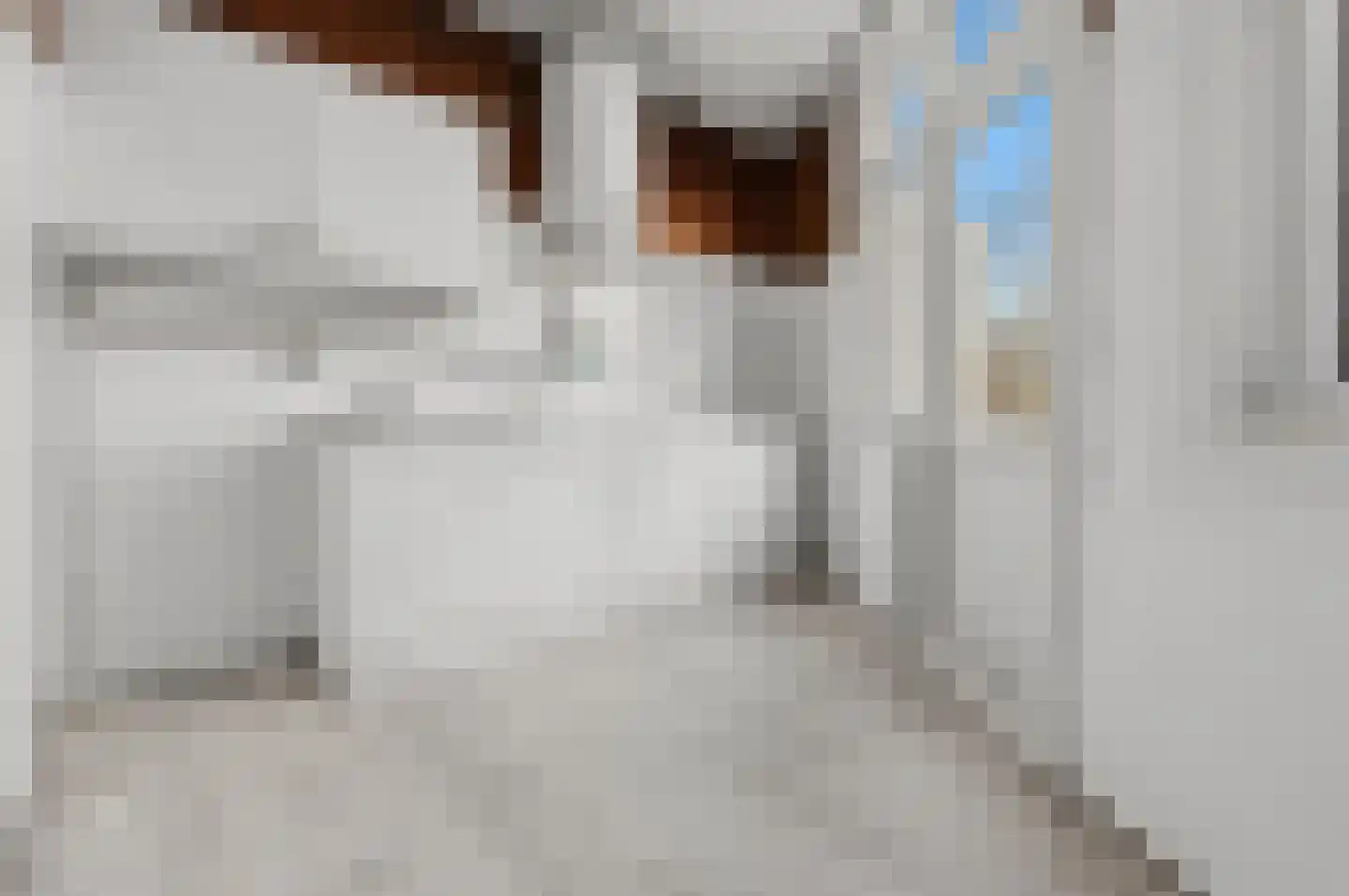 van Naeltwijckstraat 90 Voorburg thumbnail 17