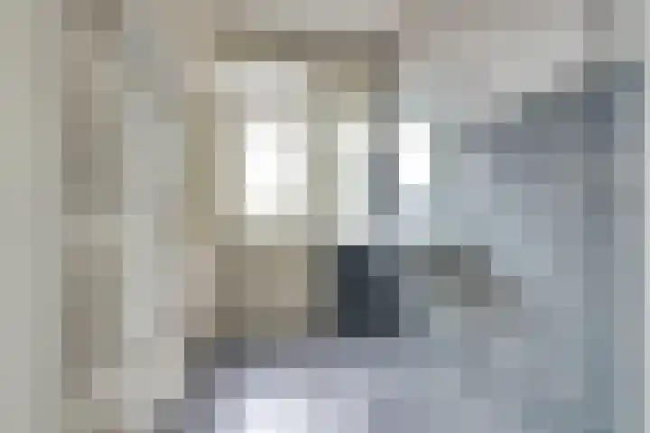 van Naeltwijckstraat 94 Voorburg thumbnail 22