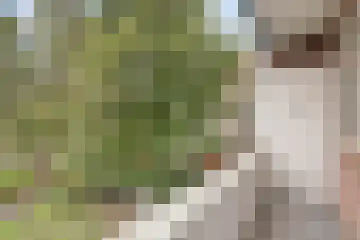 van Naeltwijckstraat 94 Voorburg thumbnail 24