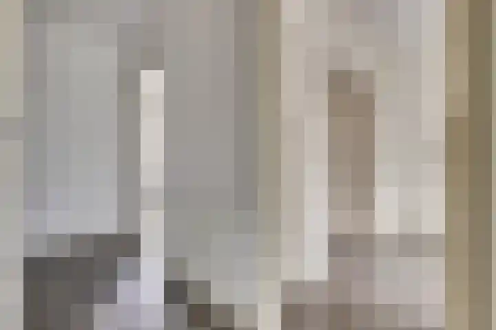 van Naeltwijckstraat 94 Voorburg thumbnail 7