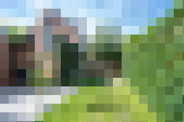 van Nagell-laan 6 Doorn thumbnail 15