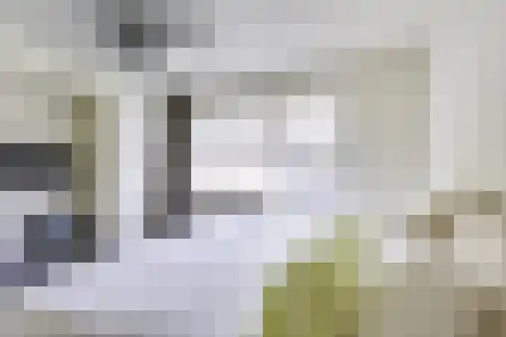 van Nagell-laan 6 Doorn thumbnail 18