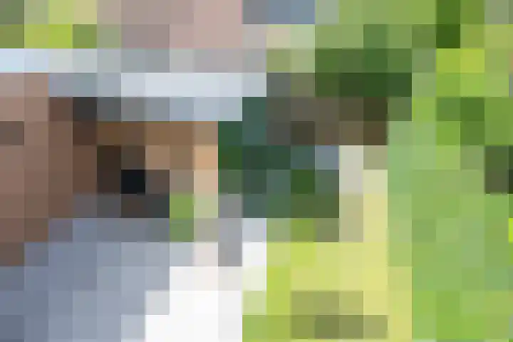 van Nagell-laan 6 Doorn thumbnail 21