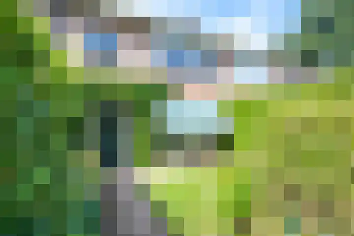van Nagell-laan 6 Doorn thumbnail 34