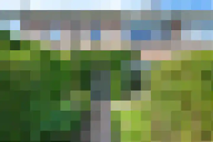 van Nagell-laan 6 Doorn thumbnail 35