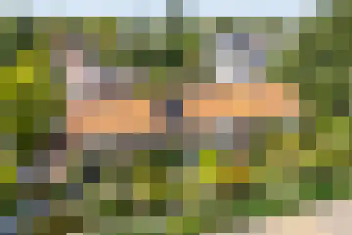 van Nagell-laan 6 Doorn thumbnail 36