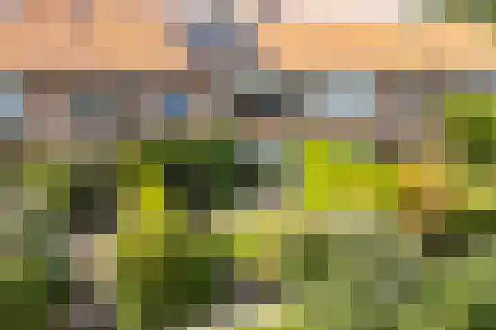 van Nagell-laan 6 Doorn thumbnail 37