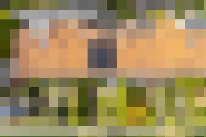 van Nagell-laan 6 Doorn thumbnail 38