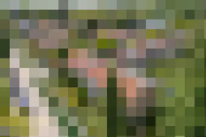 van Nagell-laan 6 Doorn thumbnail 41