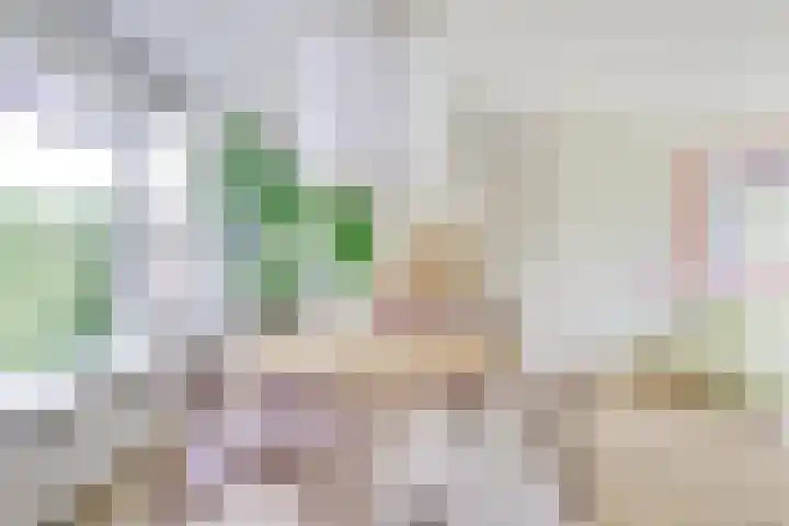 van Nagell-laan 6 Doorn thumbnail 8