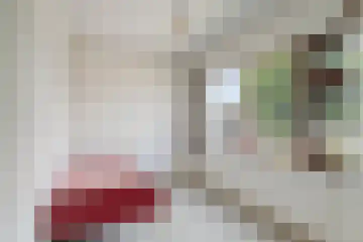 van Nagellstraat 19 Terborg thumbnail 15