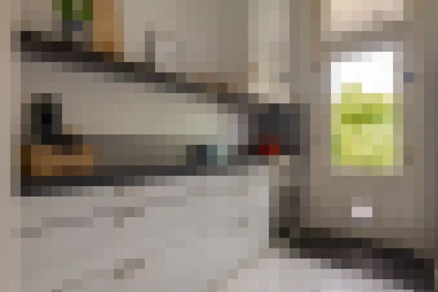 Van Nagellstraat 24 Zwolle thumbnail 24