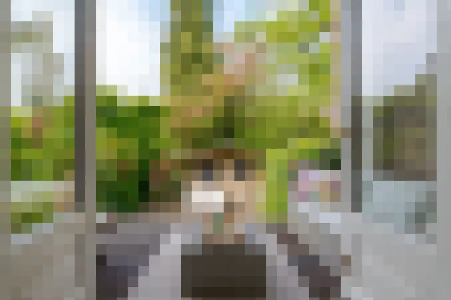 Van Nagellstraat 24 Zwolle thumbnail 26