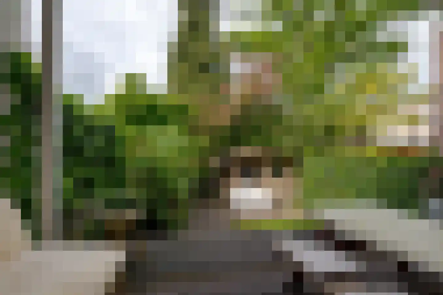 Van Nagellstraat 24 Zwolle thumbnail 28