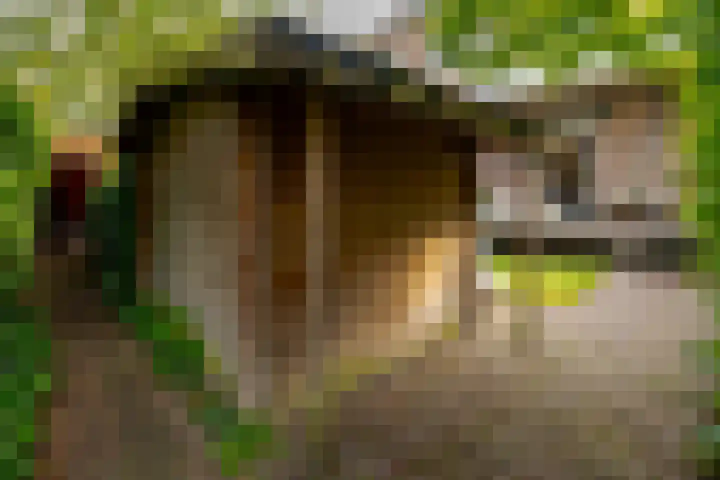 Van Nagellstraat 24 Zwolle thumbnail 31