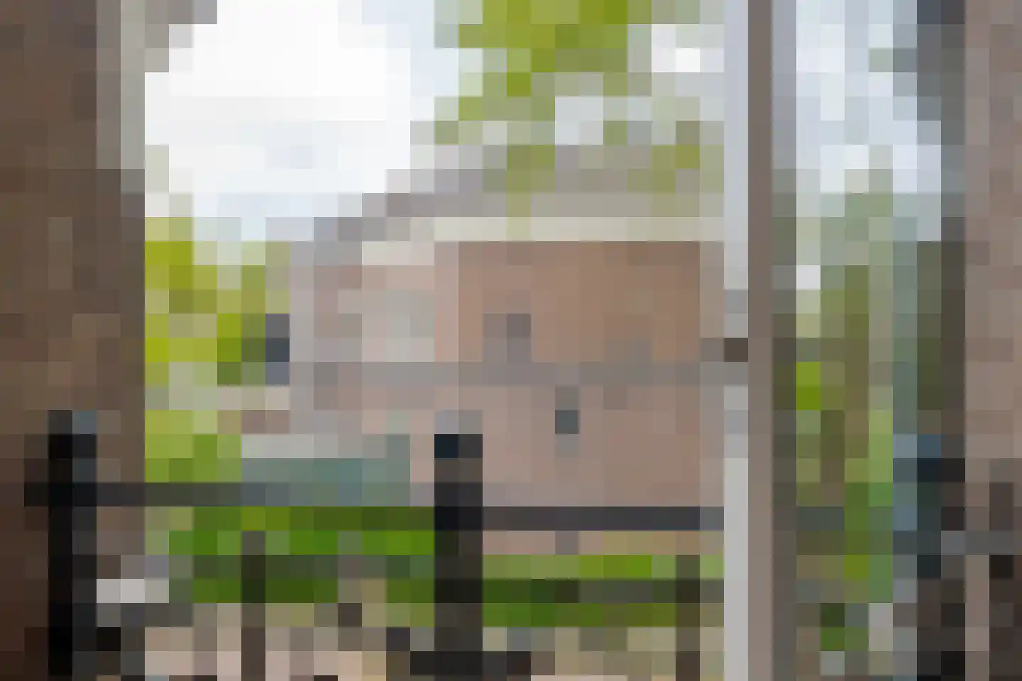 Van Nagellstraat 24 Zwolle thumbnail 39