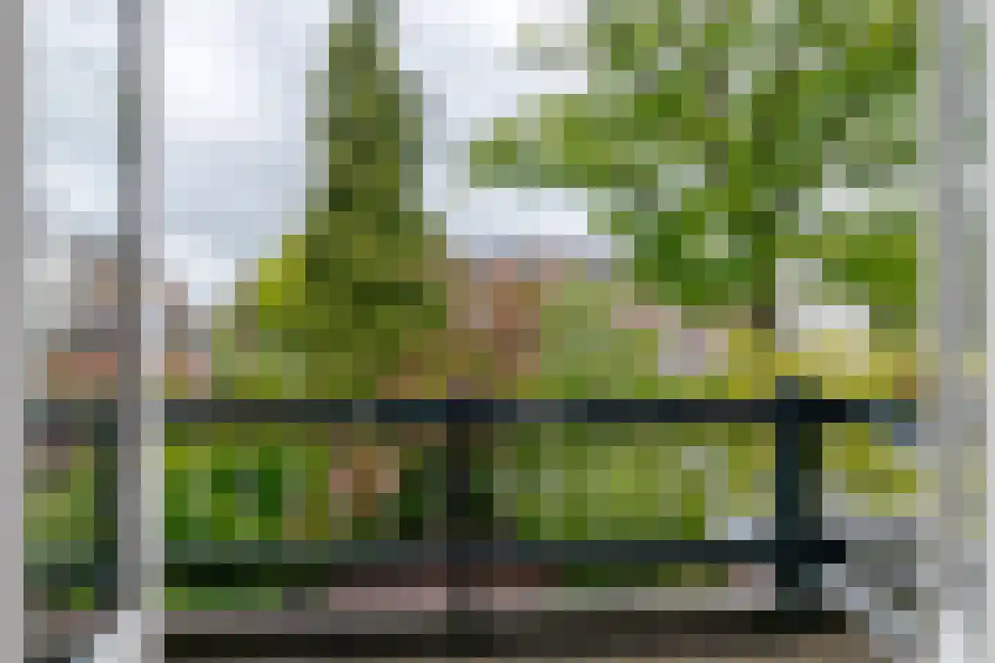 Van Nagellstraat 24 Zwolle thumbnail 50