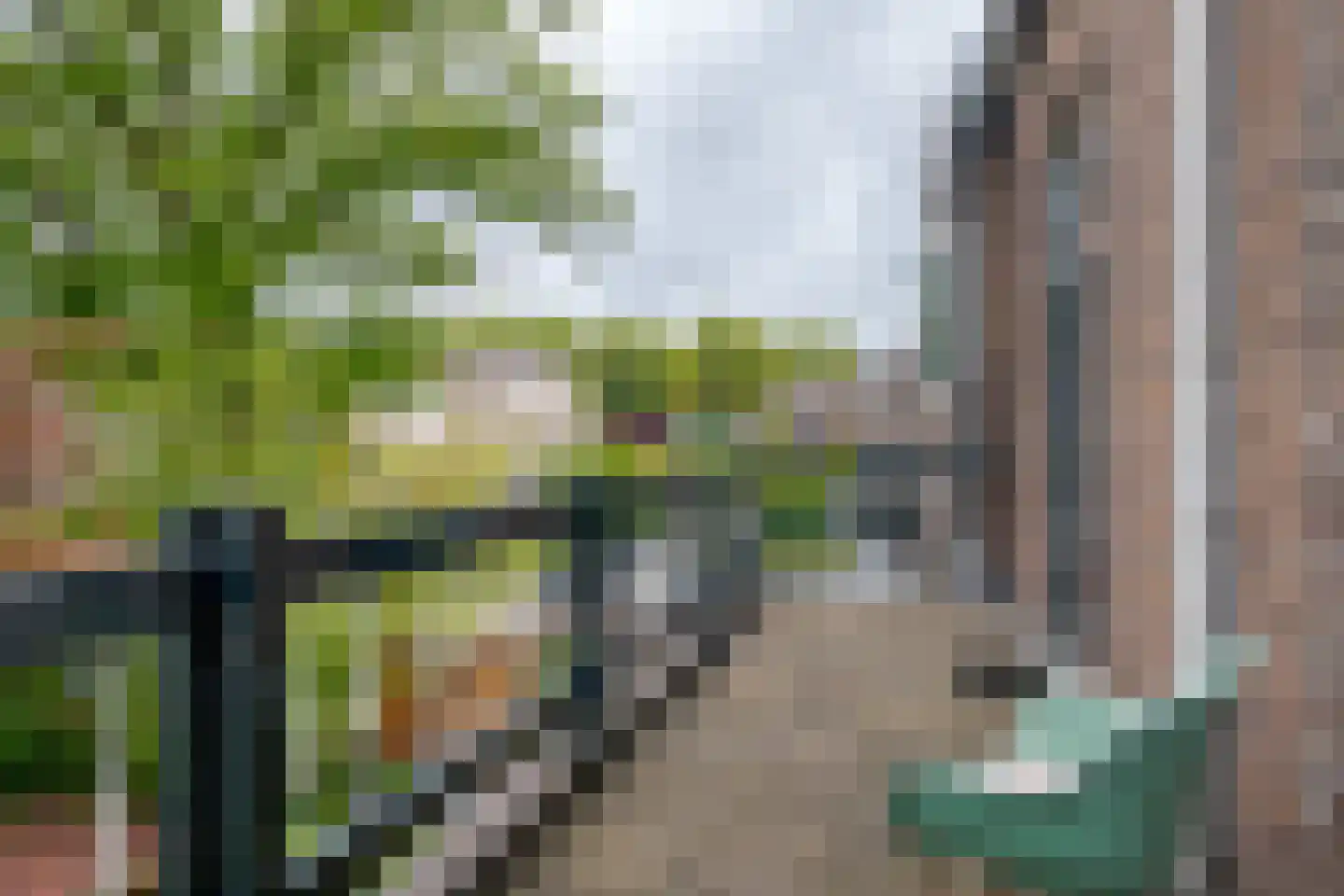 Van Nagellstraat 24 Zwolle thumbnail 52