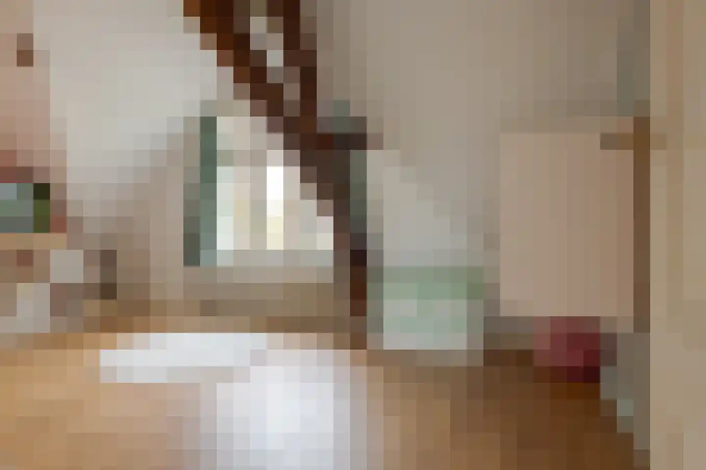 Van Nagellstraat 24 Zwolle thumbnail 54
