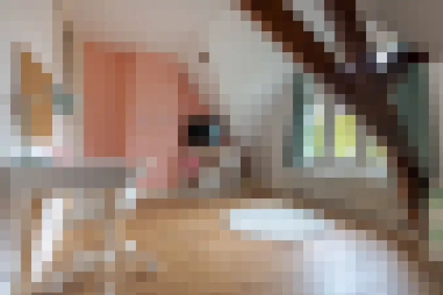 Van Nagellstraat 24 Zwolle thumbnail 55