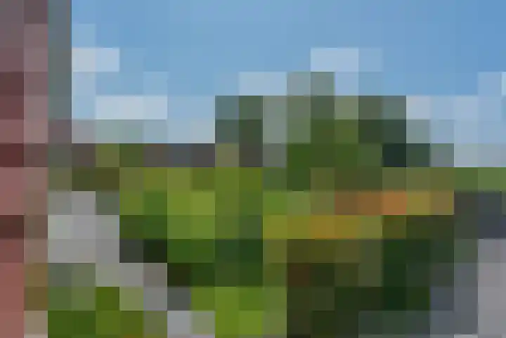 van Nahuysweg 23 Hasselt thumbnail 38