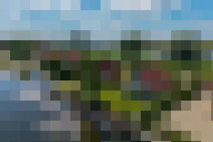 van Nahuysweg 23 Hasselt thumbnail 4