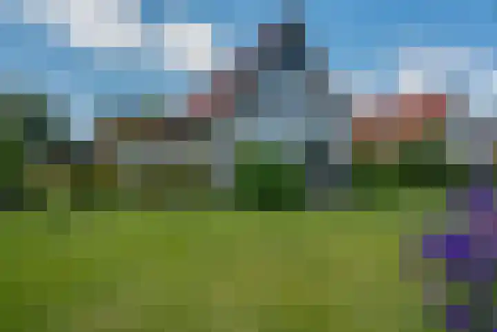 van Nahuysweg 23 Hasselt thumbnail 52