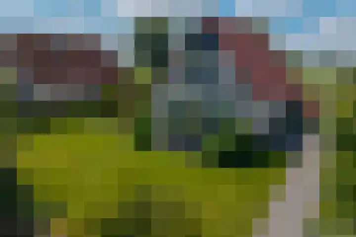 van Nahuysweg 23 Hasselt thumbnail 6