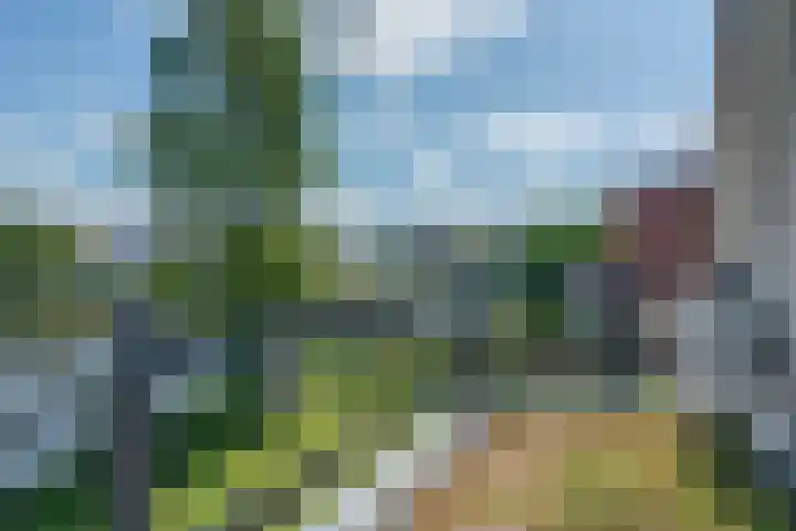 van Nahuysweg 23 Hasselt thumbnail 62