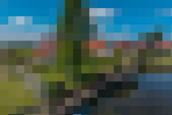 van Nahuysweg 23 Hasselt thumbnail 7
