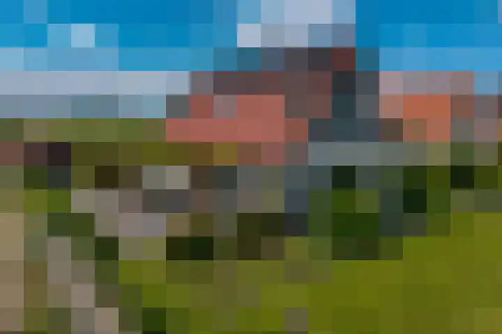 van Nahuysweg 23 Hasselt thumbnail 8