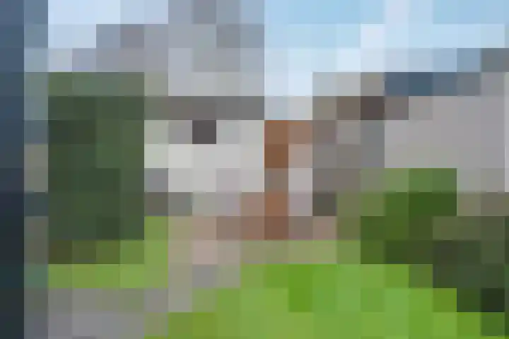 van Nahuysweg 35 Hasselt thumbnail 27