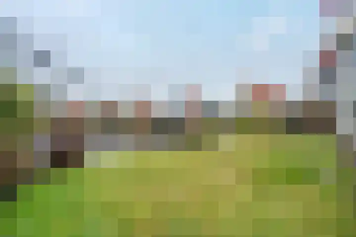 van Nahuysweg 35 Hasselt thumbnail 30