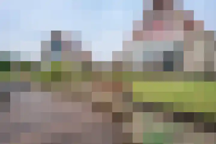 van Nahuysweg 35 Hasselt thumbnail 34